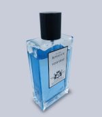 ادئو پرفیوم  رویالیست آبی 100 میل تامی هیلتون - TOMY HILTON - تصویر 4