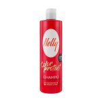 شامپو تثبیت کننده رنگ مو مدل Color Protect حجم 400 میل نلی - NELLY