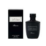 ادو پرفیوم پرفکت جنتلمن اینتس Perfect Gentleman Intense حجم 100 میل آرت اند پرفیوم - Art & Parfum